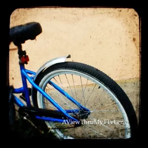 Bike Wheel Charleston South Carolina TTV Photography