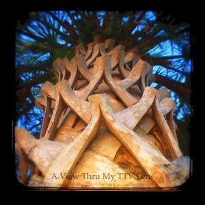 Palmetto Isle Of Palms South Carolina TTV Photography