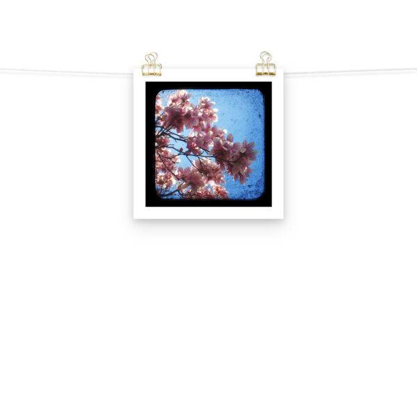 Pink Dogwood - TTV Photography - Photo paper poster - Image 3