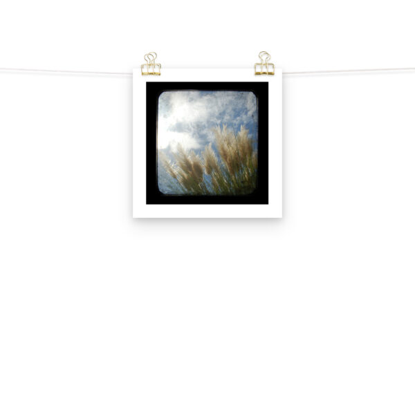 Sea Oats - TTV Photography -Photo paper poster - Image 3