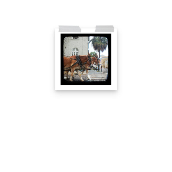 Hitch a Ride - TTV Photography - Photo paper poster - Image 4