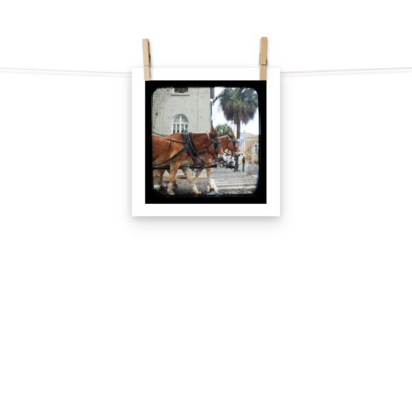 Hitch a Ride - TTV Photography - Photo paper poster - Image 2