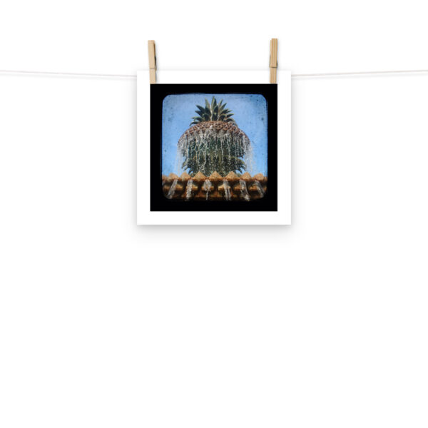 Pineapple Fountain - TTV Photography - Photo paper poster - Image 2
