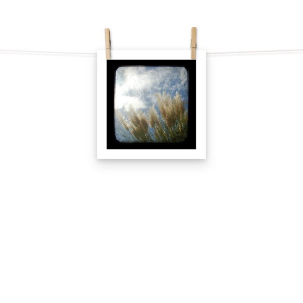 Sea Oats - TTV Photography -Photo paper poster - Image 2