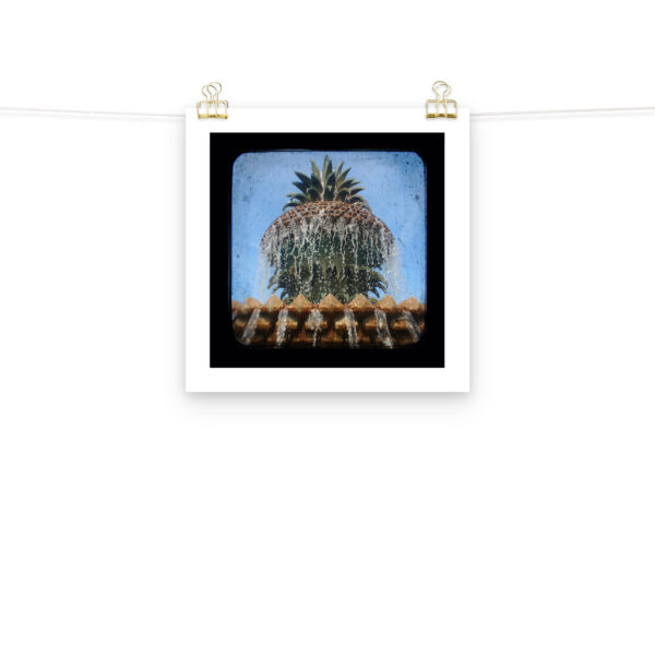 Pineapple Fountain - TTV Photography - Photo paper poster - Image 6