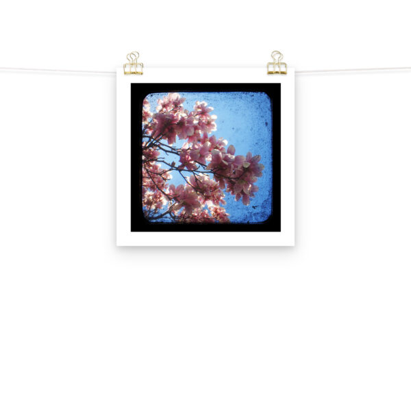 Pink Dogwood - TTV Photography - Photo paper poster - Image 6