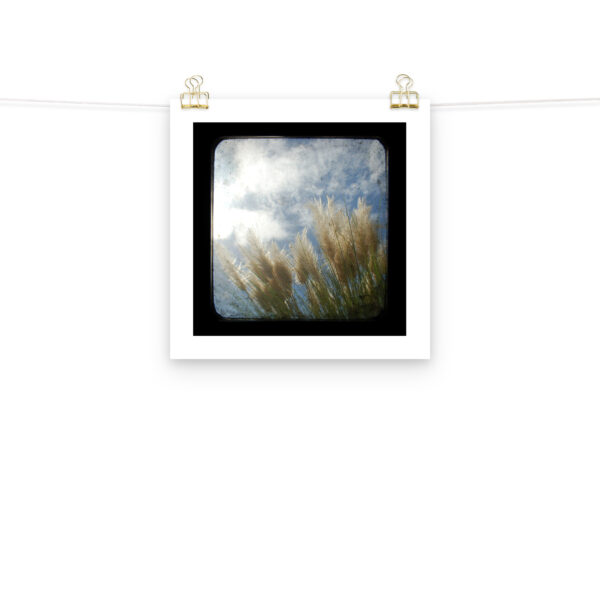 Sea Oats - TTV Photography -Photo paper poster - Image 6