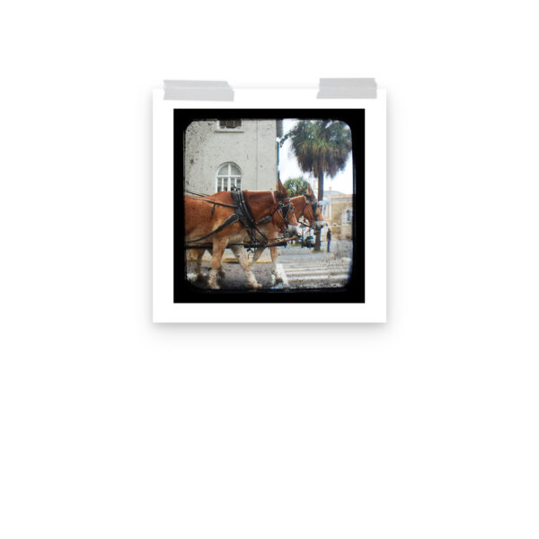 Hitch a Ride - TTV Photography - Photo paper poster - Image 7