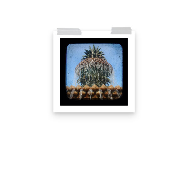 Pineapple Fountain - TTV Photography - Photo paper poster - Image 7