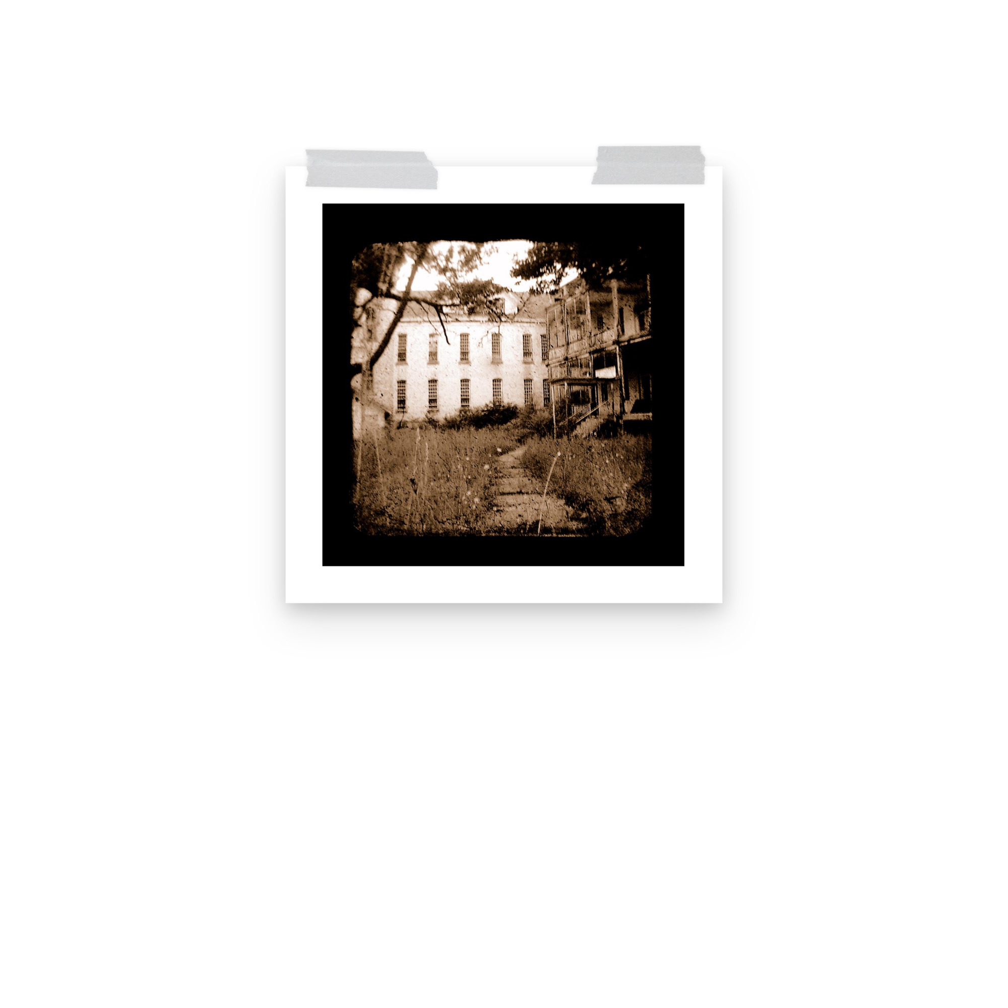 Where Mental Minds Roam - TTV Photography - Photo paper poster - Image 7