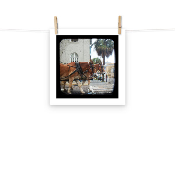Hitch a Ride - TTV Photography - Photo paper poster - Image 5