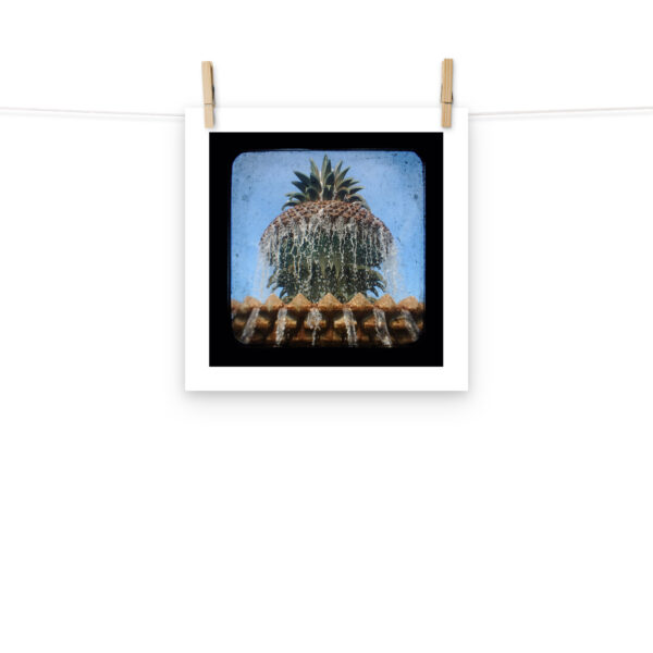 Pineapple Fountain - TTV Photography - Photo paper poster - Image 5