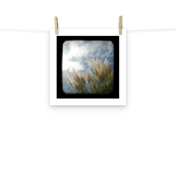 Sea Oats - TTV Photography -Photo paper poster - Image 5