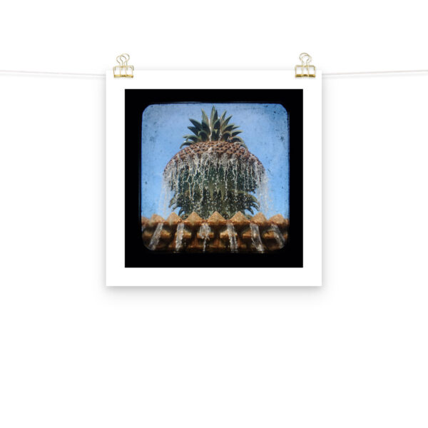 Pineapple Fountain - TTV Photography - Photo paper poster - Image 9