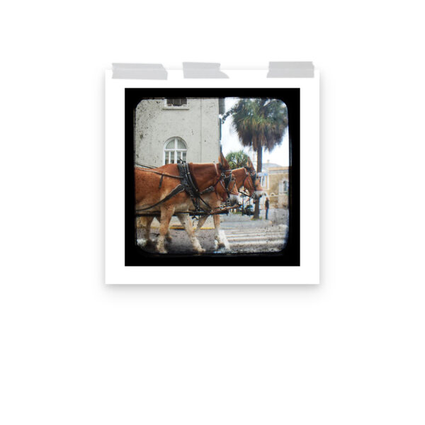 Hitch a Ride - TTV Photography - Photo paper poster - Image 10
