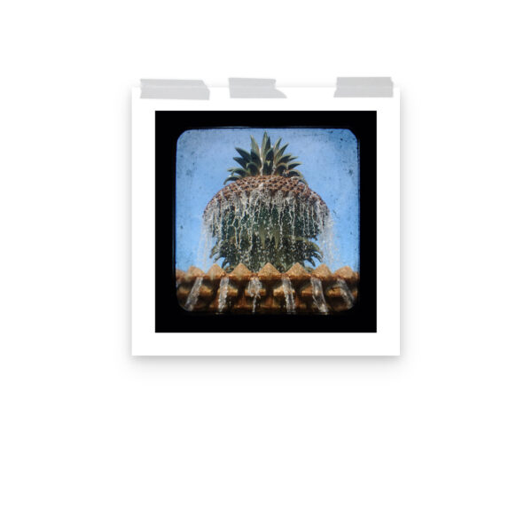 Pineapple Fountain - TTV Photography - Photo paper poster - Image 10