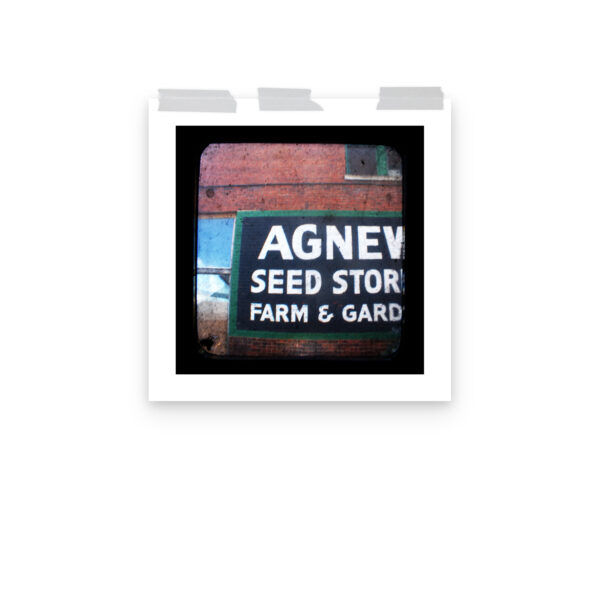 Agnew Seed - TTV Photography - Photo paper poster - Image 10