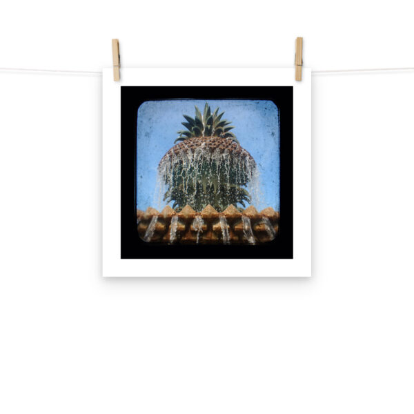 Pineapple Fountain - TTV Photography - Photo paper poster - Image 8