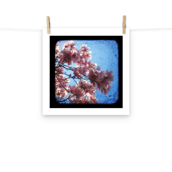Pink Dogwood - TTV Photography - Photo paper poster - Image 8