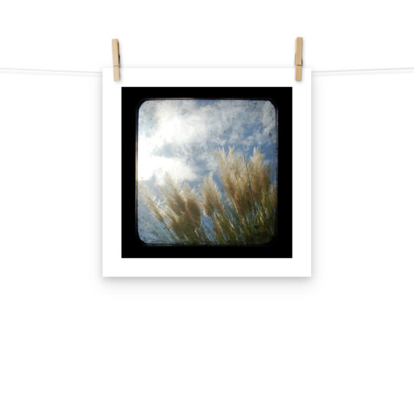 Sea Oats - TTV Photography -Photo paper poster - Image 8