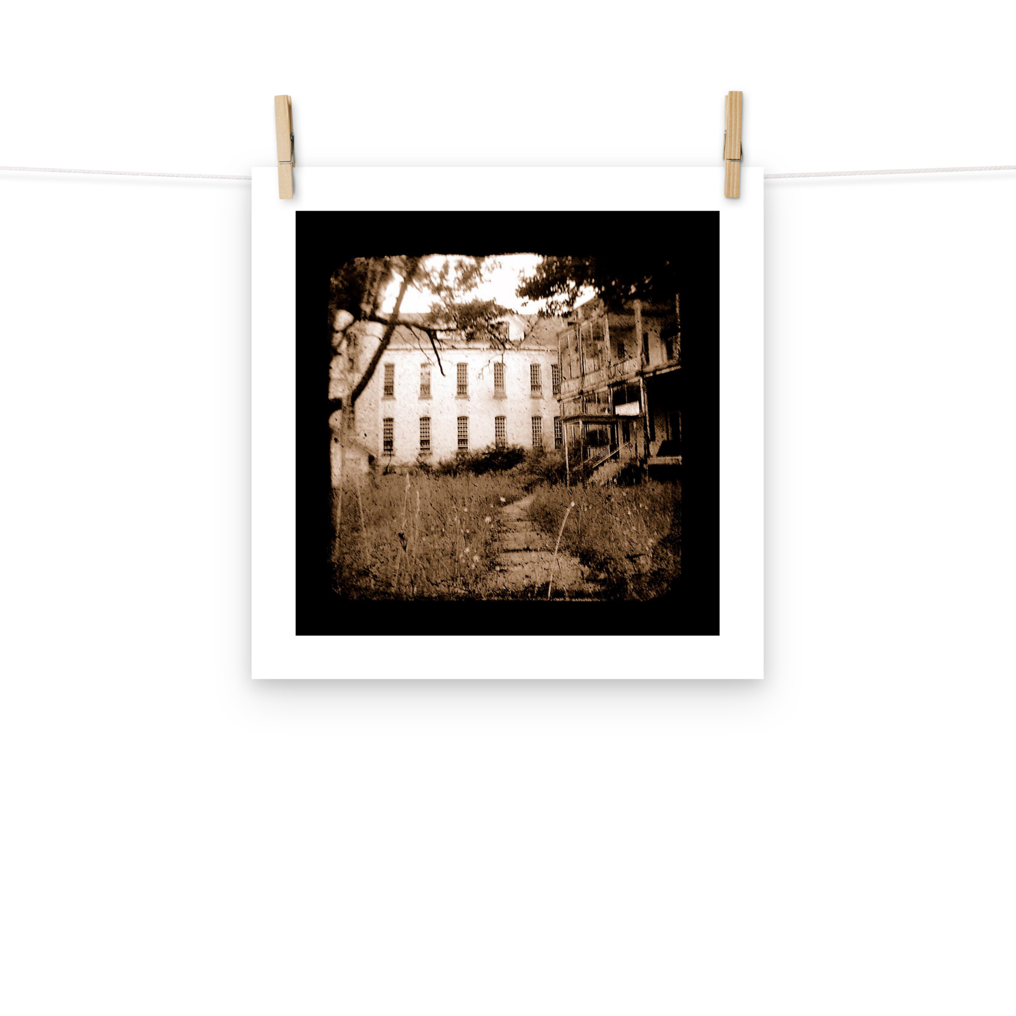 Where Mental Minds Roam - TTV Photography - Photo paper poster - Image 8