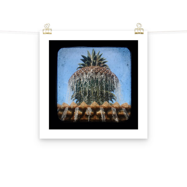 Pineapple Fountain - TTV Photography - Photo paper poster - Image 11