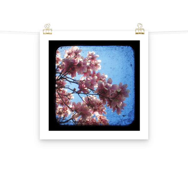 Pink Dogwood - TTV Photography - Photo paper poster - Image 11
