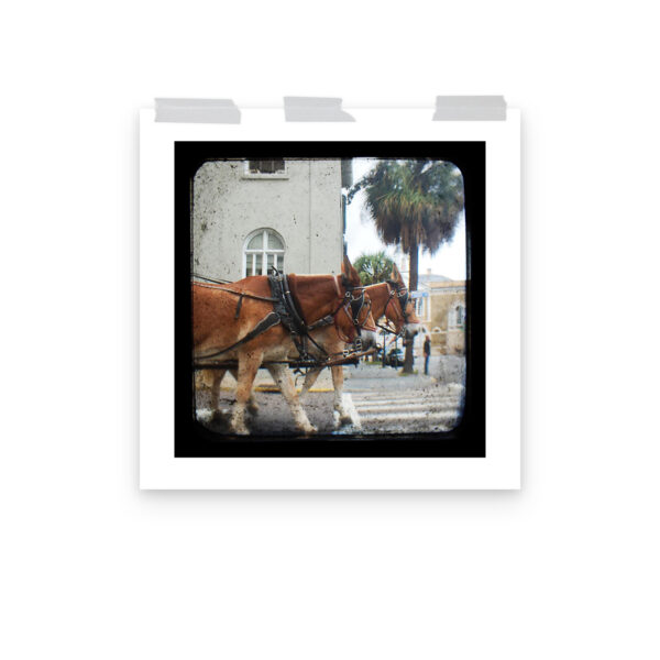Hitch a Ride - TTV Photography - Photo paper poster - Image 12