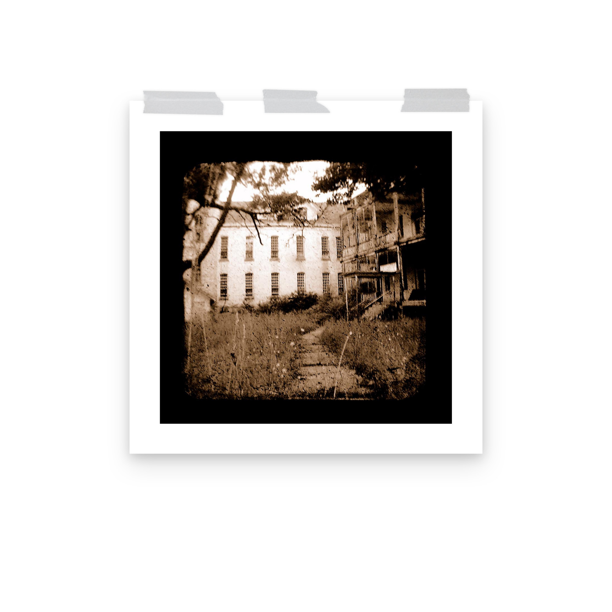 Where Mental Minds Roam - TTV Photography - Photo paper poster - Image 12