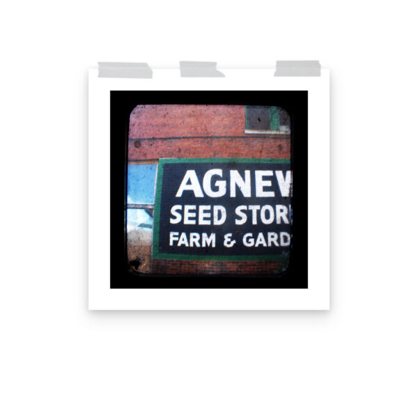 Agnew Seed - TTV Photography - Photo paper poster - Image 12