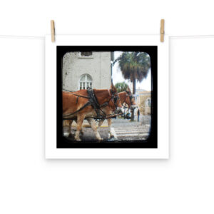 Hitch a Ride - TTV Photography - Photo paper poster