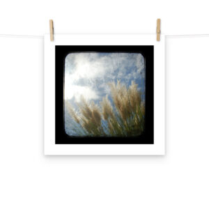 Sea Oats - TTV Photography -Photo paper poster
